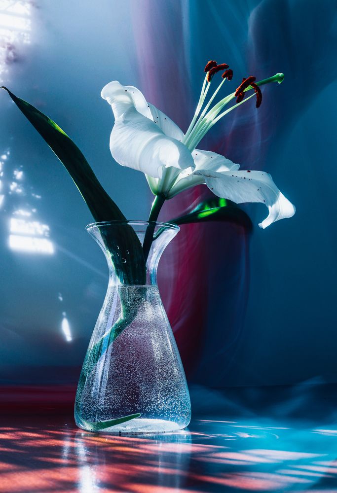 Photograph by Катя Филиппова