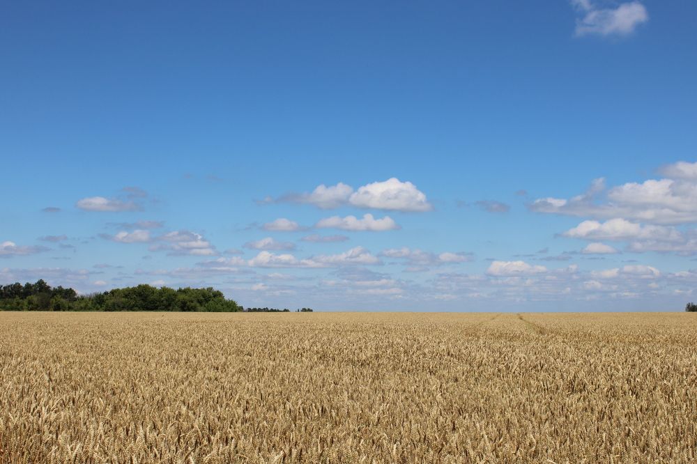 Photograph by Елена Коробченко