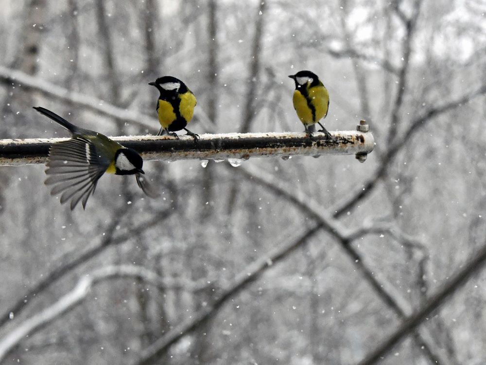 Photograph by Ксения Мироненко