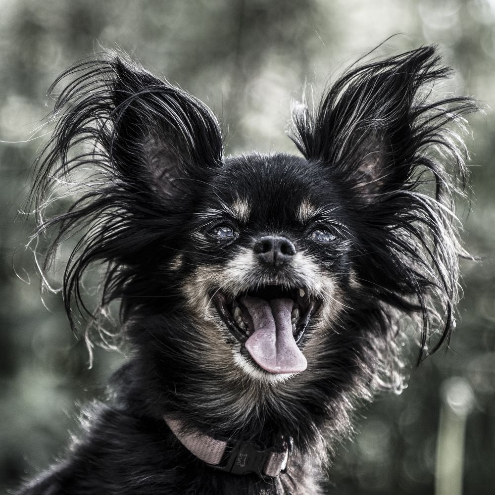 Photograph by Павел Бахирев