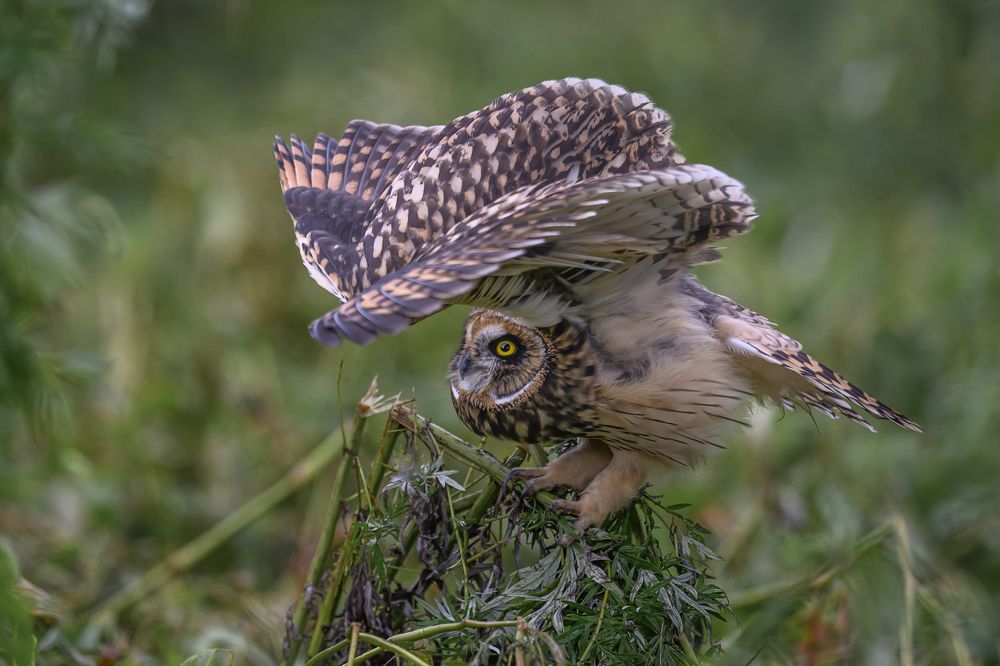 Photograph by Пупонин Сергей