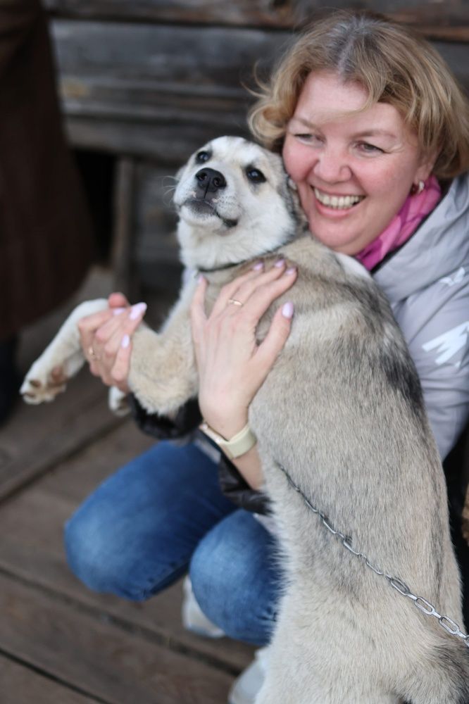 Photograph by Наталья Сафронова