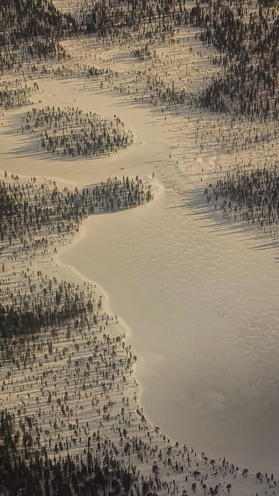 Photograph by Александр Гордиенко