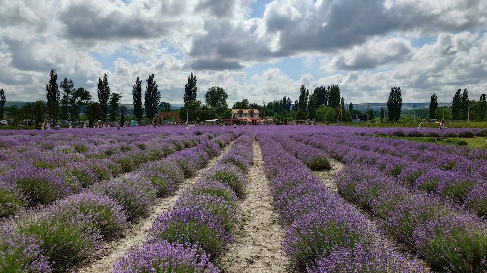 Photograph by Александр Гордиенко
