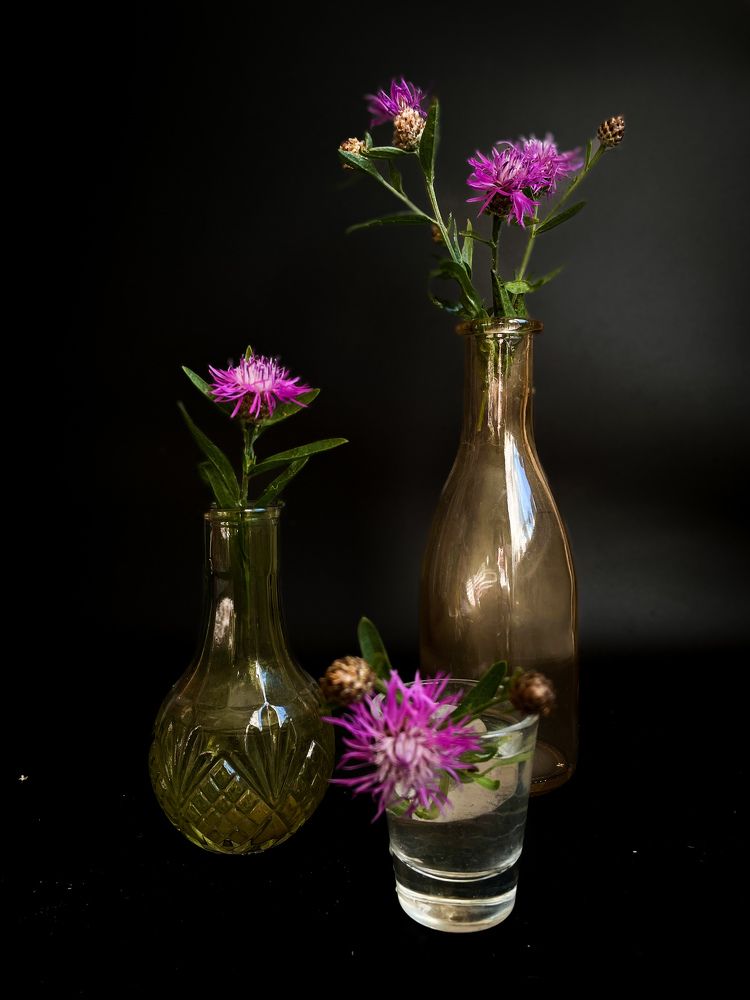 Photograph by Людмила Казак