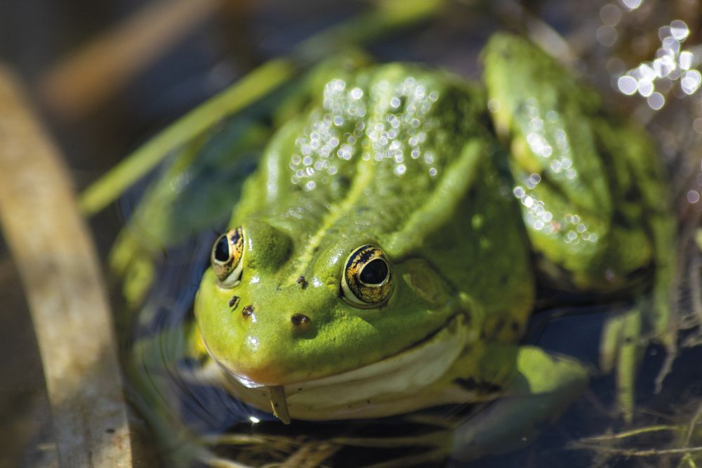 Photograph by Татьяна Огаркова