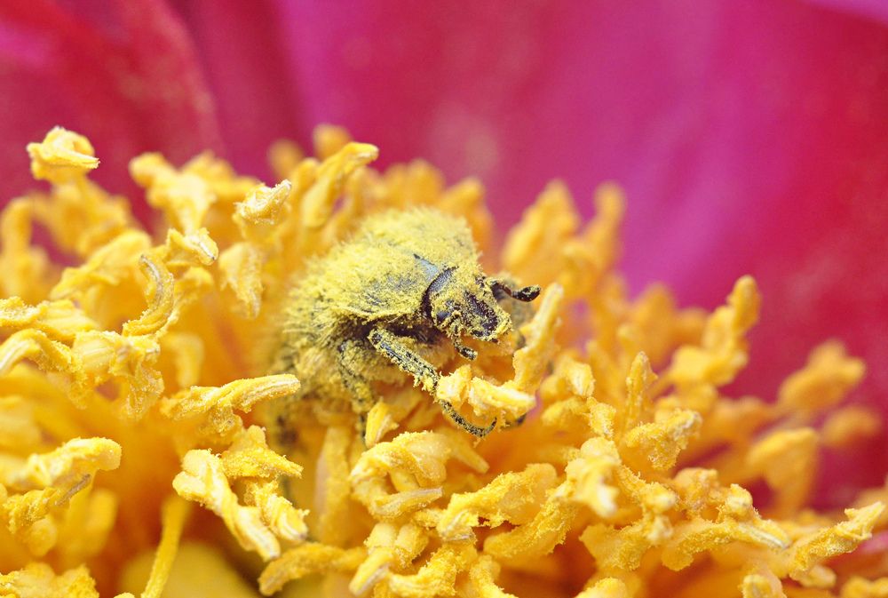 Photograph by Олеся zme