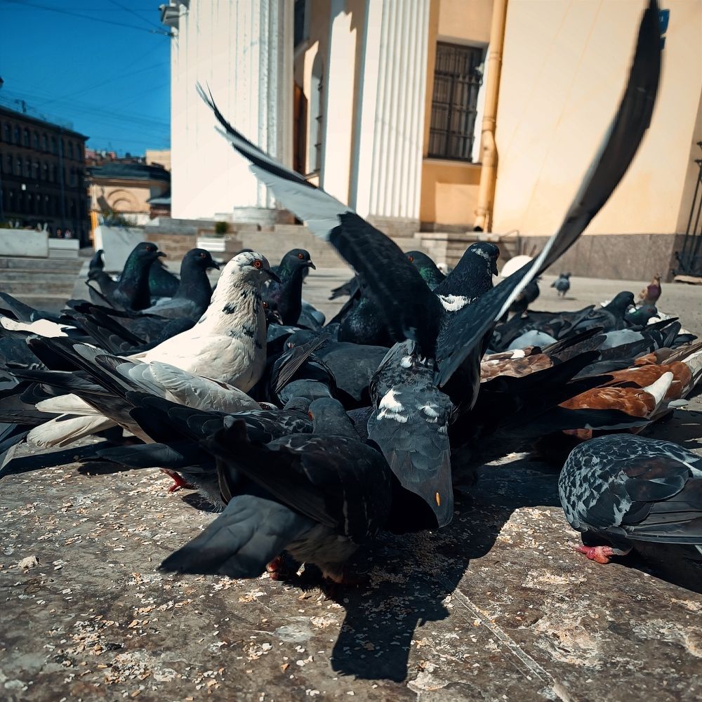 Photograph by Марина Хохрякова