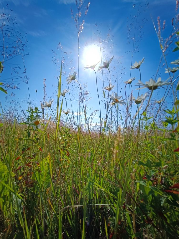 Photograph by Марина Хохрякова