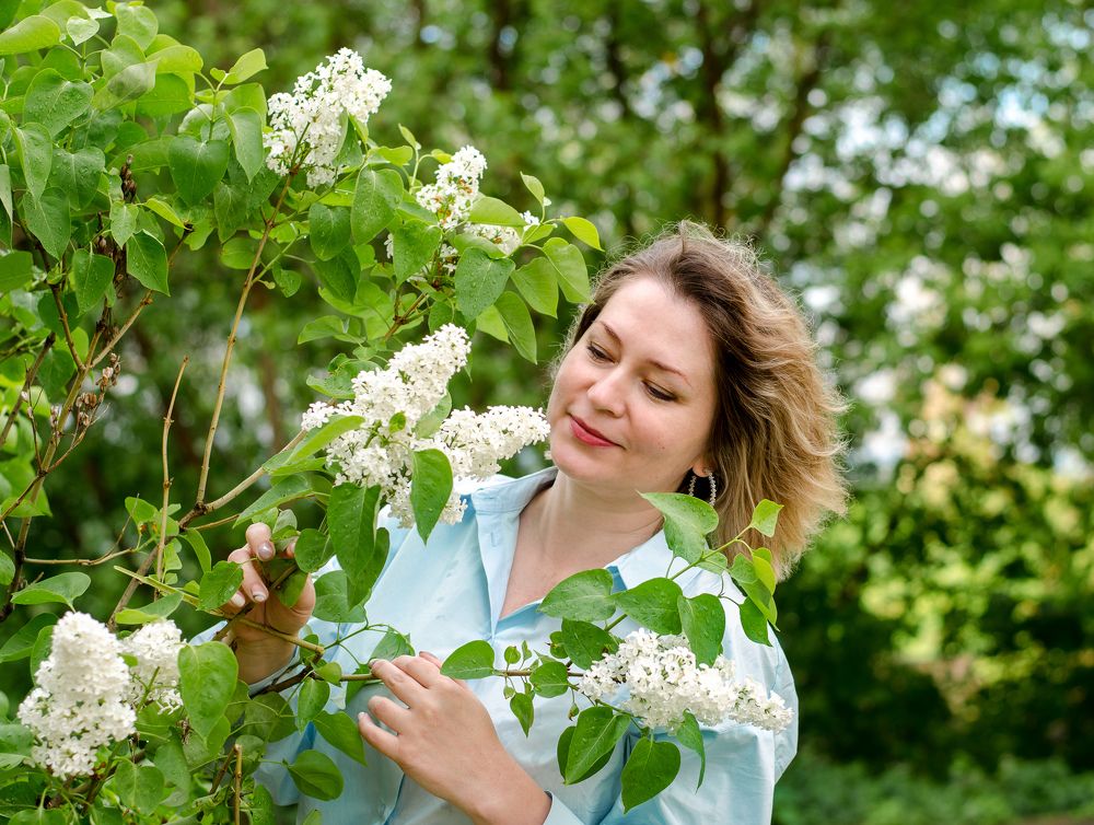 Аромат сирени