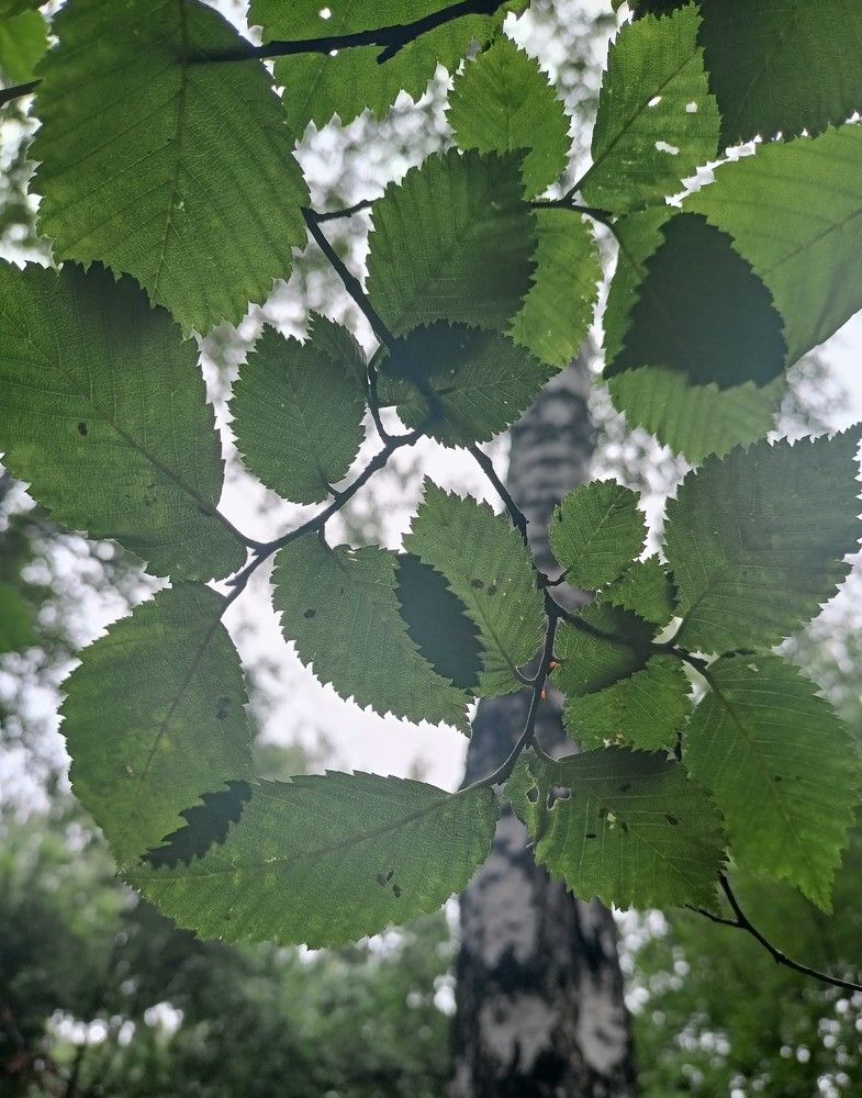 Photograph by Марина Евгеньевна