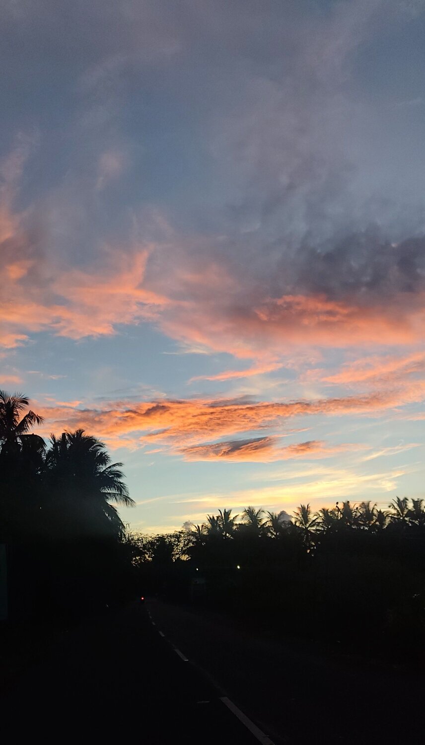 Photo #10830249