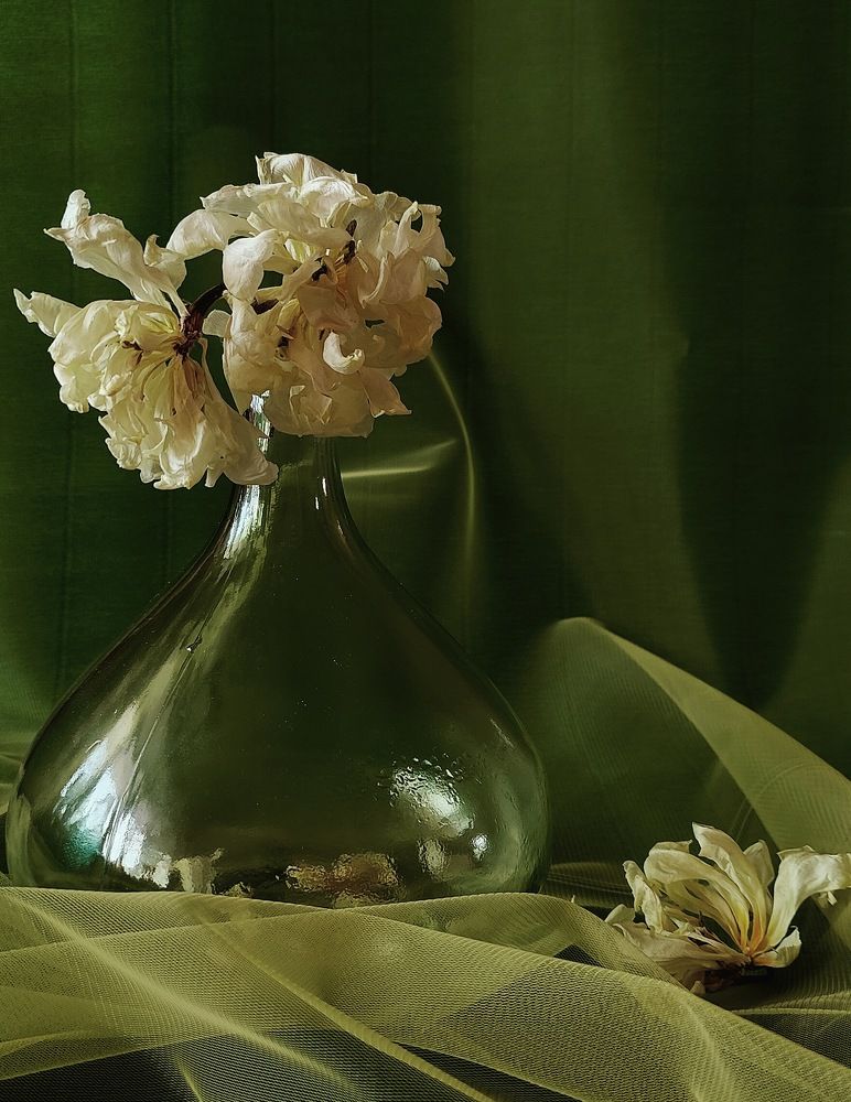 Photograph by Татьяна Гулакова