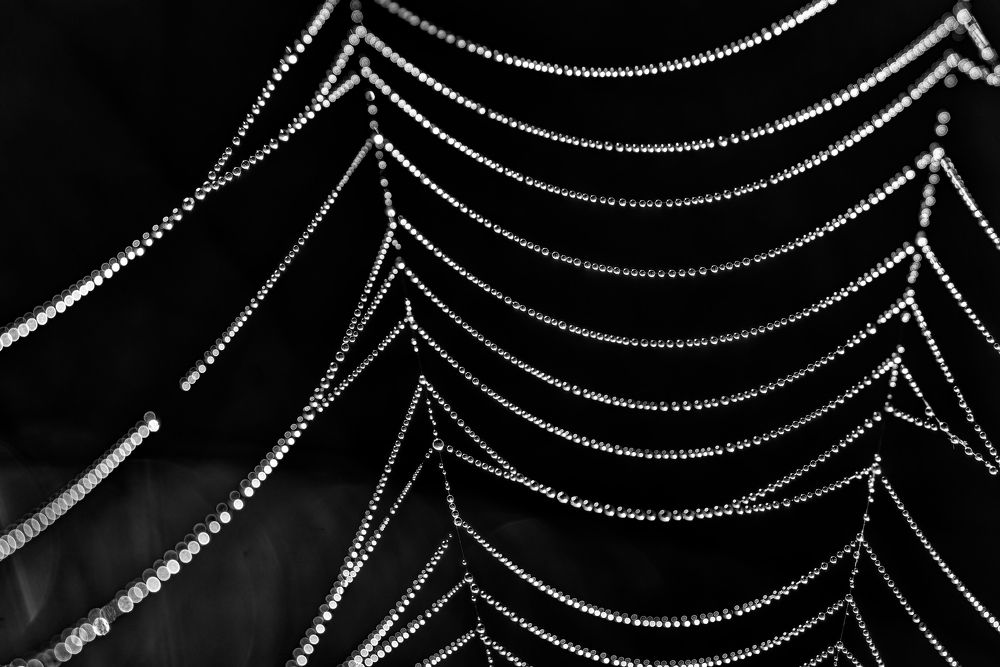 Photograph by Aleksei Degtjarjov