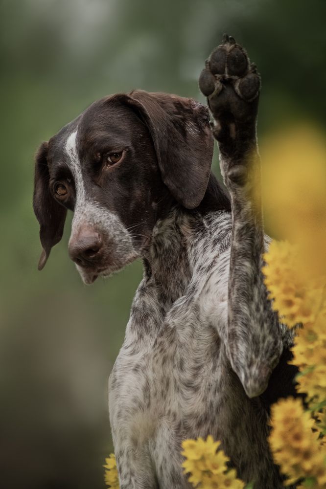 Фотография автора Ritus20018