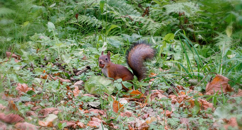 Photograph by Дмитрий Поварков