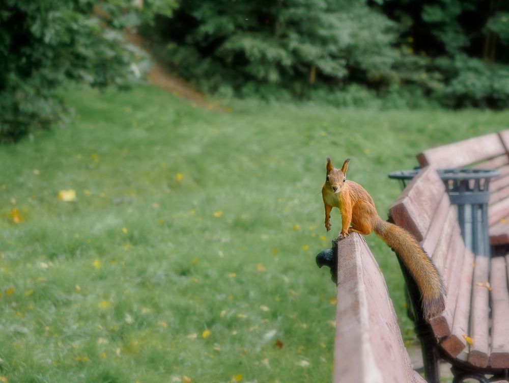 Photograph by Дмитрий Поварков