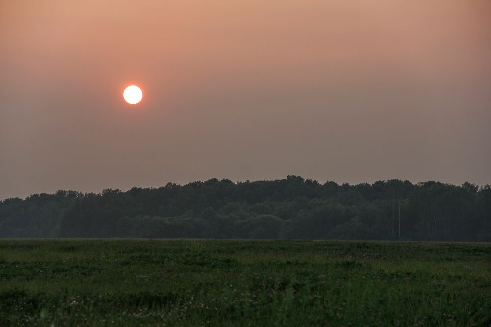 Фотография автора Наталия Мащенко