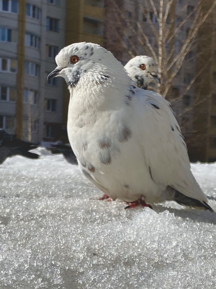 Фотография автора Ольга Лазаренко