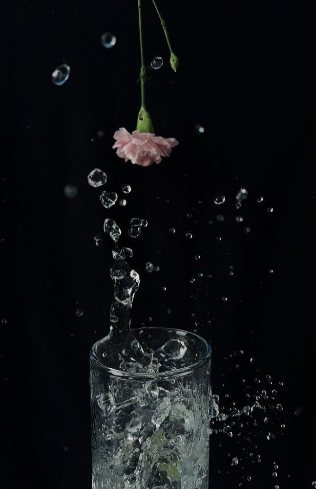 Photograph by Оксана