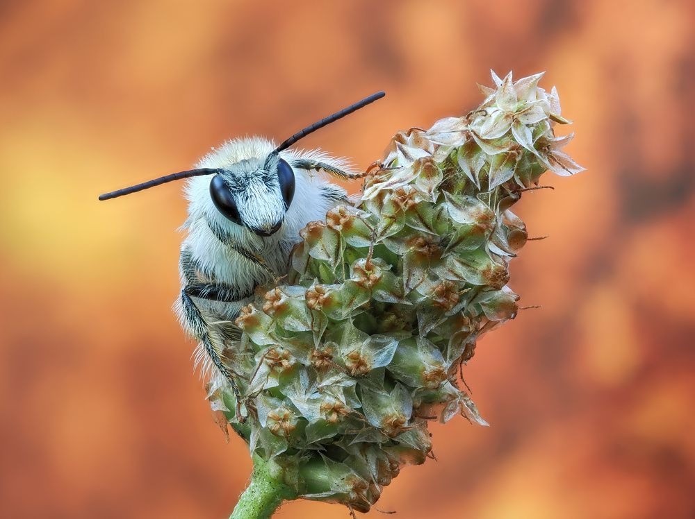 Photograph by Глеб Коровко