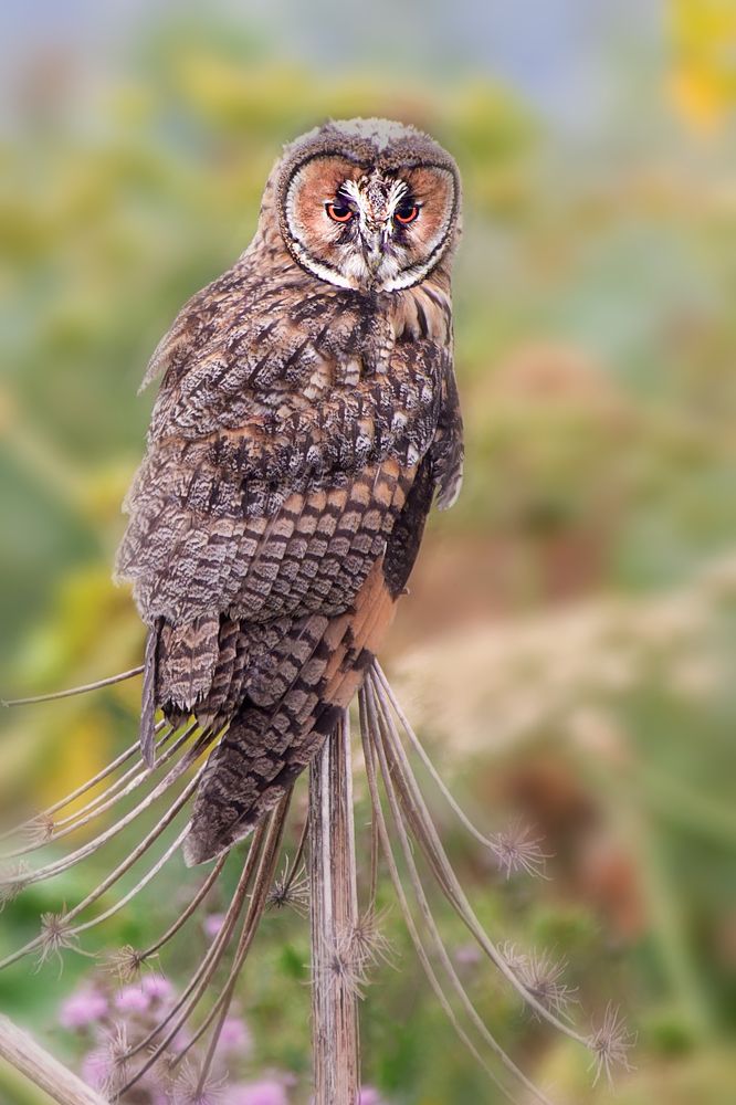 Photograph by Светлана Барабанщикова