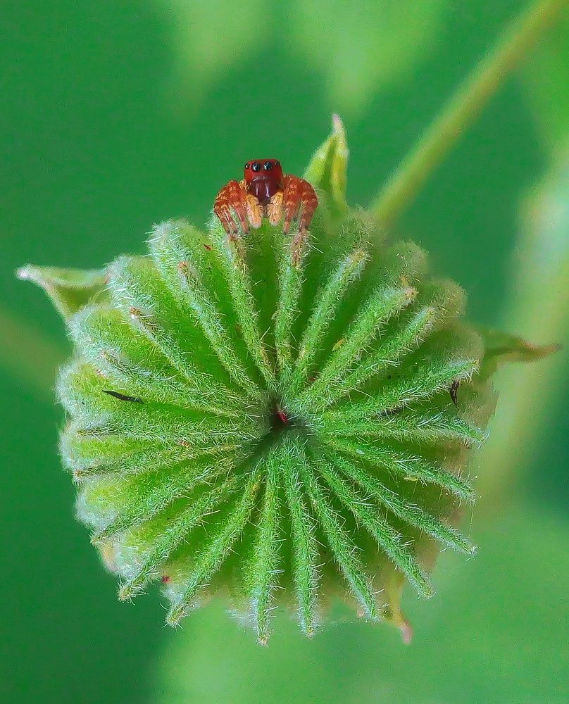 Photograph by Gurudas De