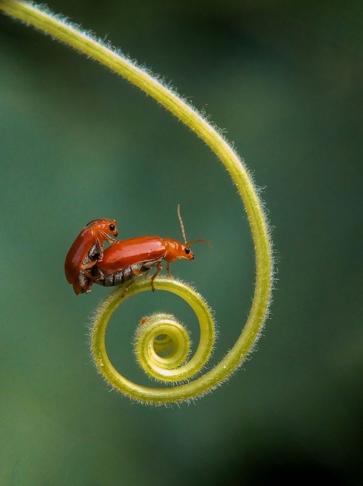 Photograph by Gurudas De