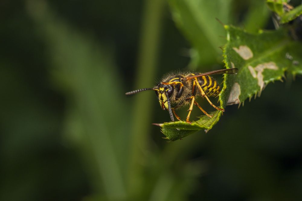 Photograph by Andrei Sabanov