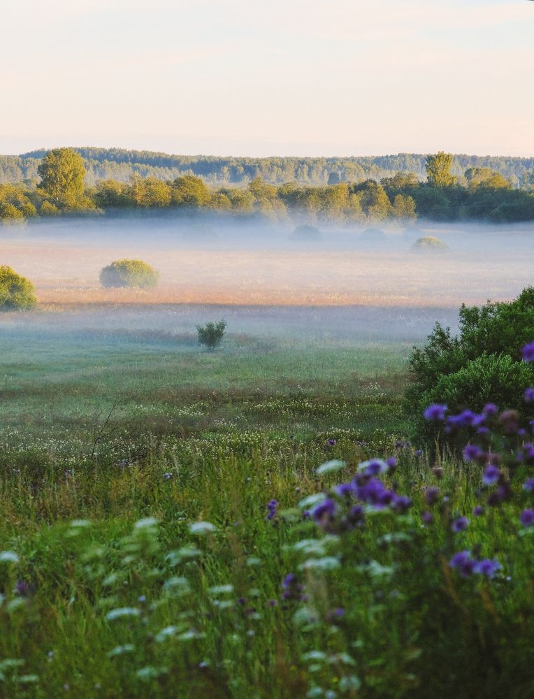 Photograph by Анатолий Вахрушев