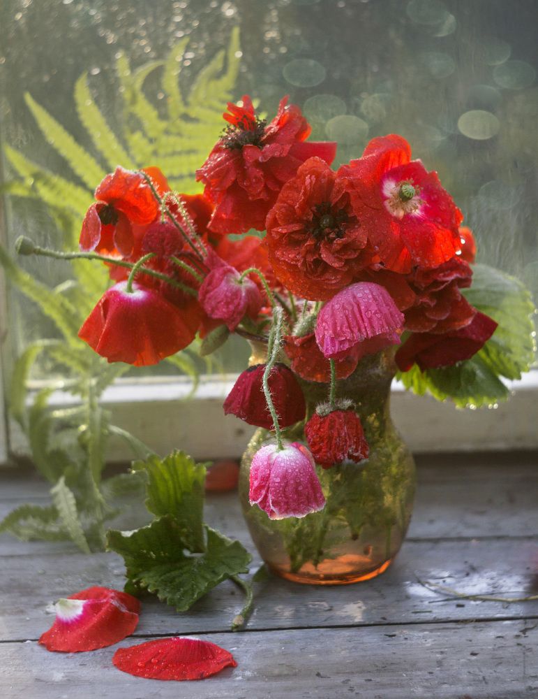 Букетик маков