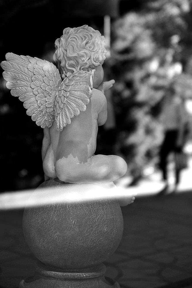 Photograph by Алексей Киров