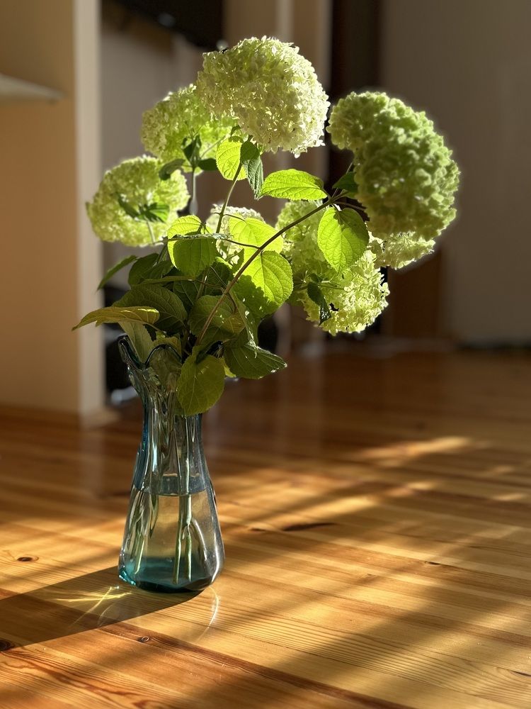 Photograph by Наталья Супрунюк