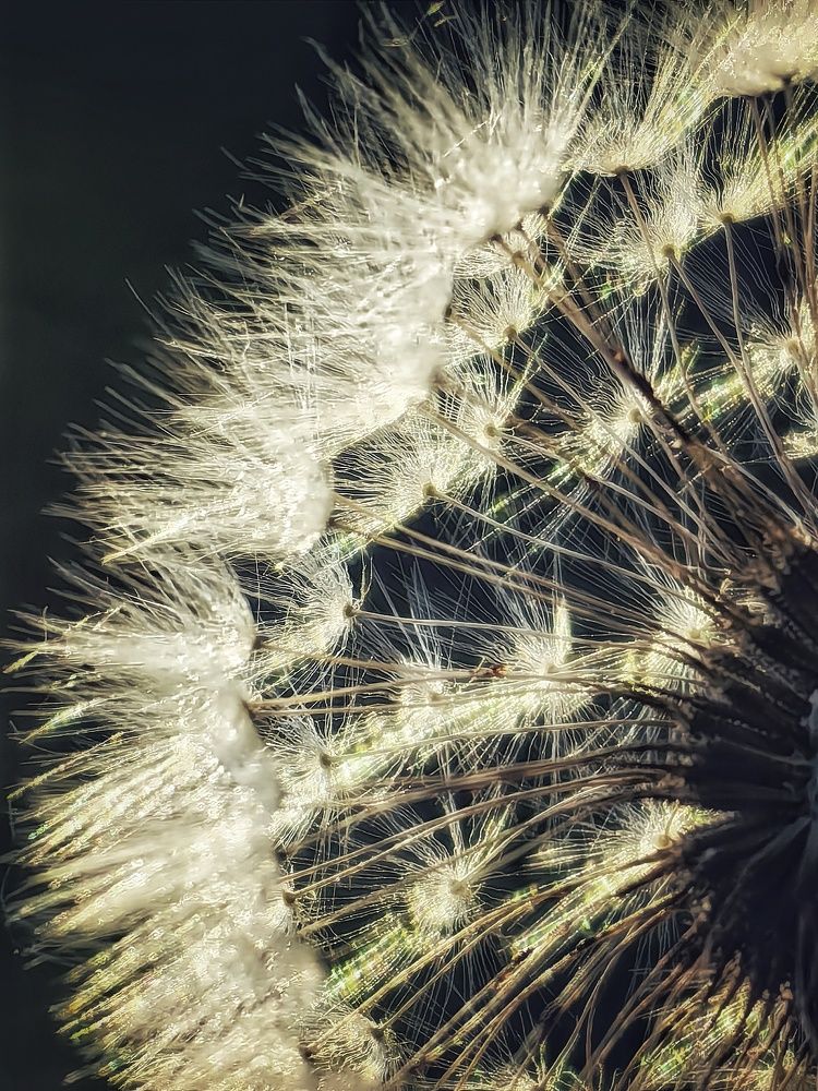 Photograph by Сергей Зайцев