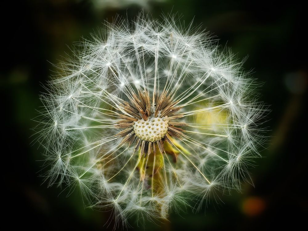 Photograph by Сергей Зайцев