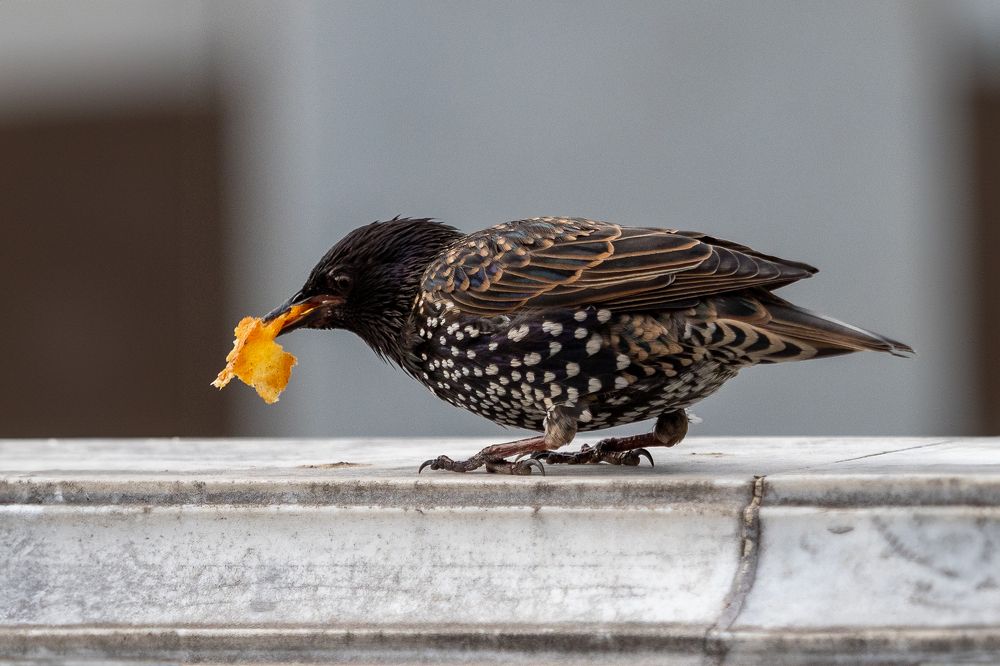 Фотография автора Бычков Валерий