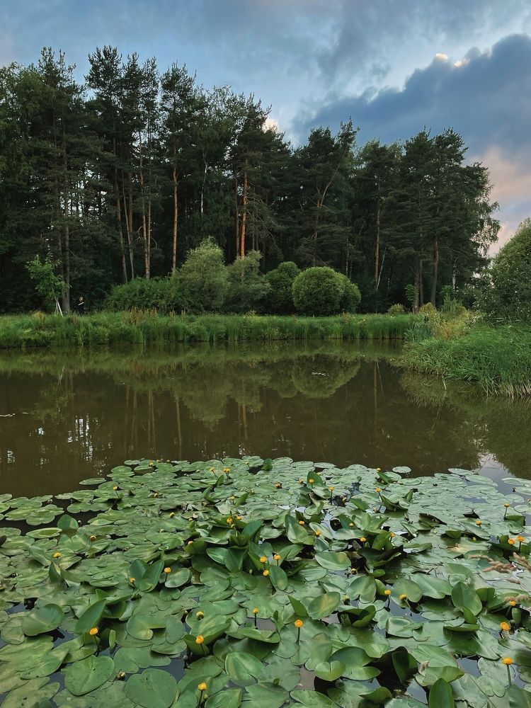 Photograph by Виктория Смирнова
