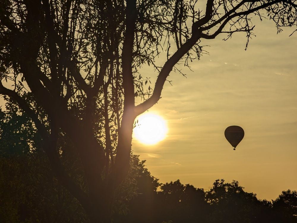 Photograph by Marina Razheva