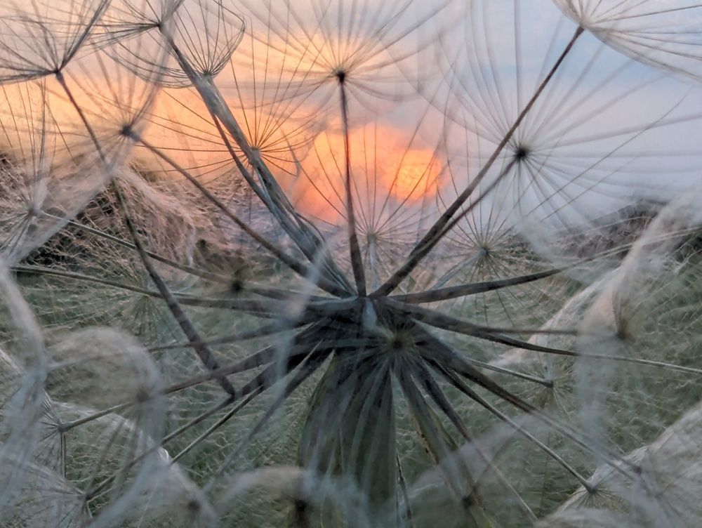 Photograph by Marina Razheva