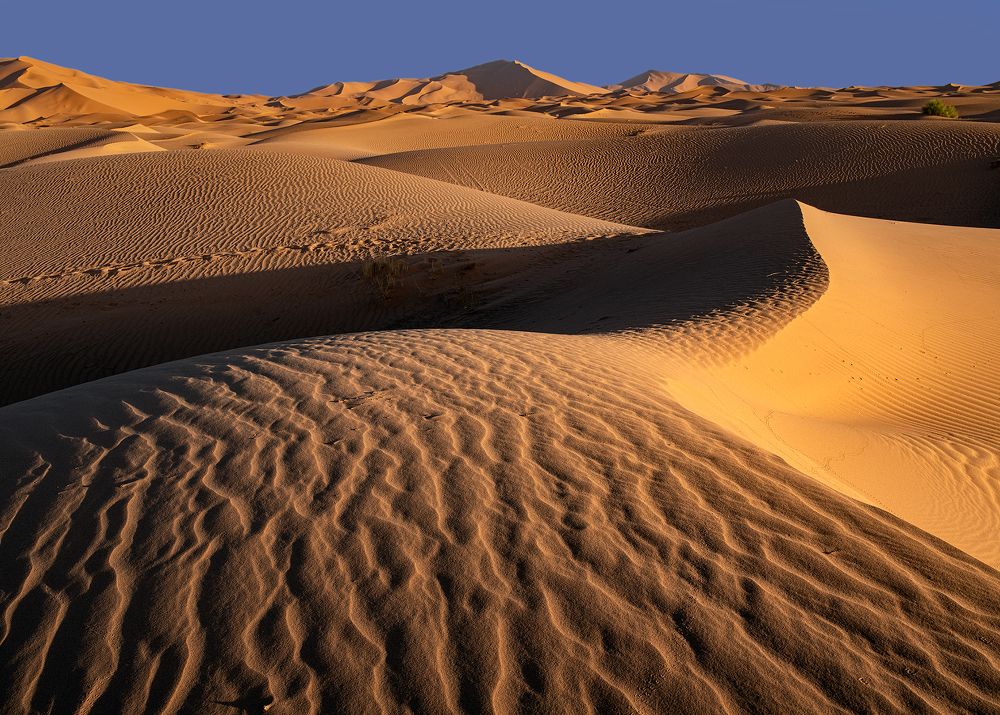 Photograph by Дмитрий Лысогоров