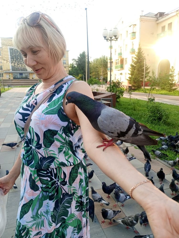 Photo #10831322