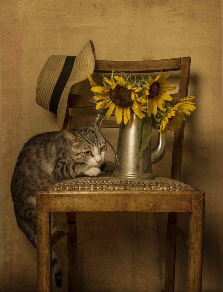 Photograph by Дарья Юсарева