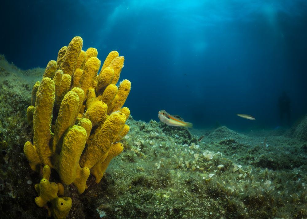 Photograph by Serdar AVCI