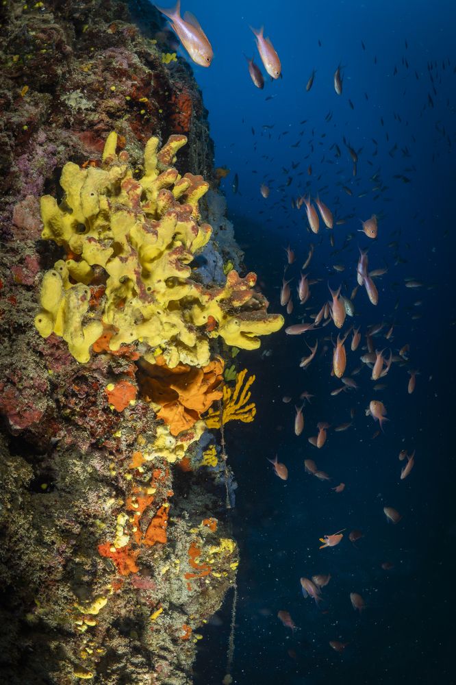 Photograph by Serdar AVCI