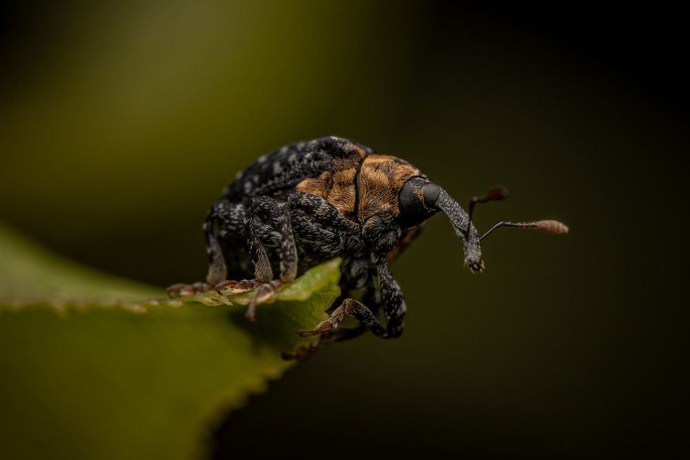 Фотография автора Виталий Сурков