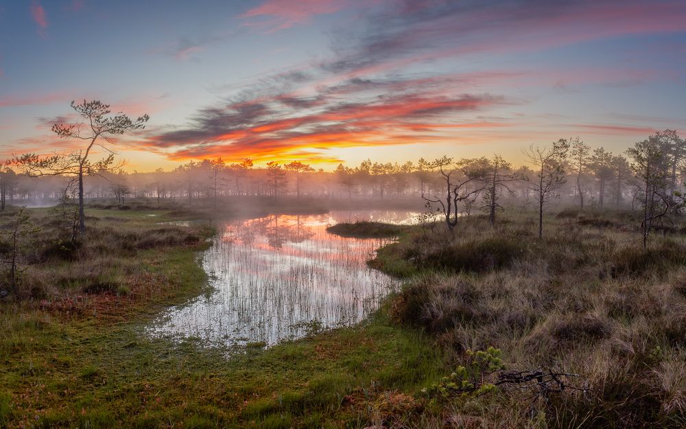 Photograph by Vera Komarova