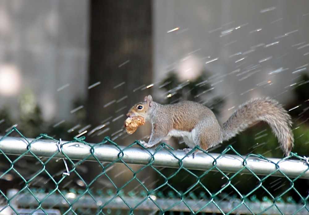 Photograph by Пётр Соколов