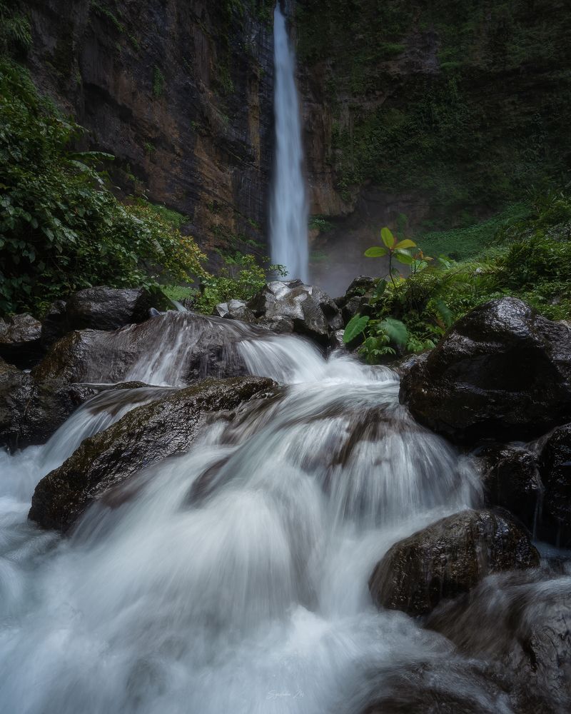 Photograph by Syaifudin