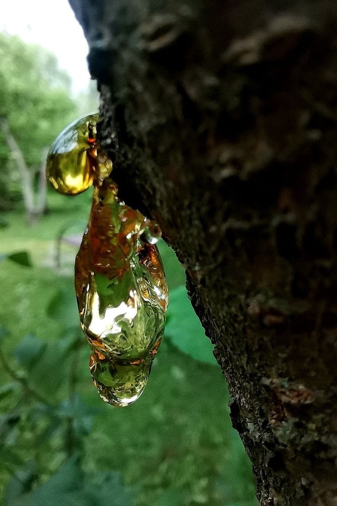 Photograph by Ирина Садовникова