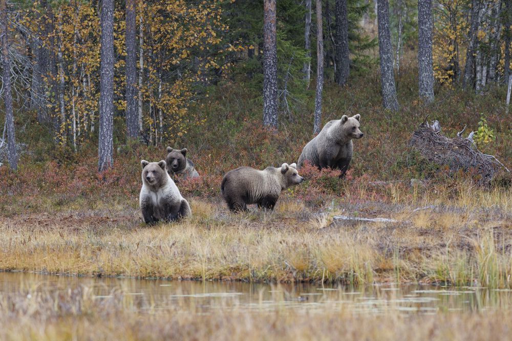 Photograph by Анатолий